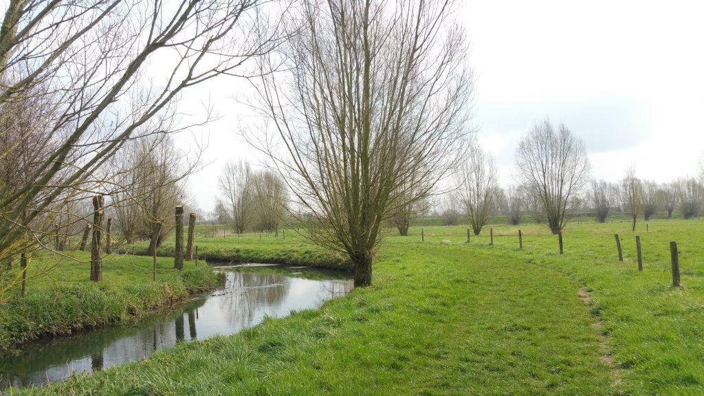 Langs de oevers van de Oude Kale