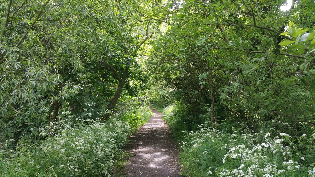 Door natuurgebied De Assels.