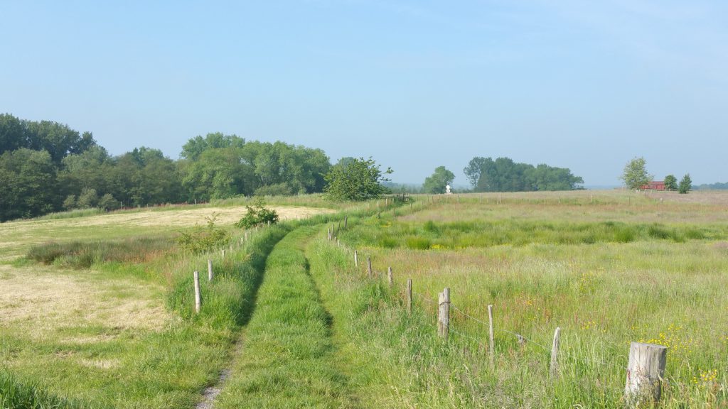 Op weg naar het Kordaalbos