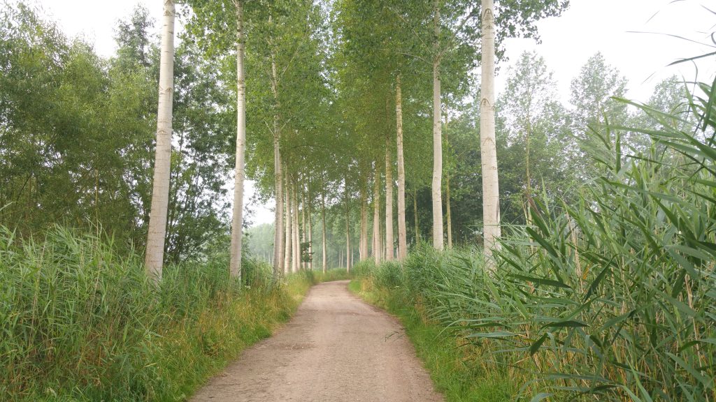 Brede, goed begaanbare wegen leiden je door het Graafschap.