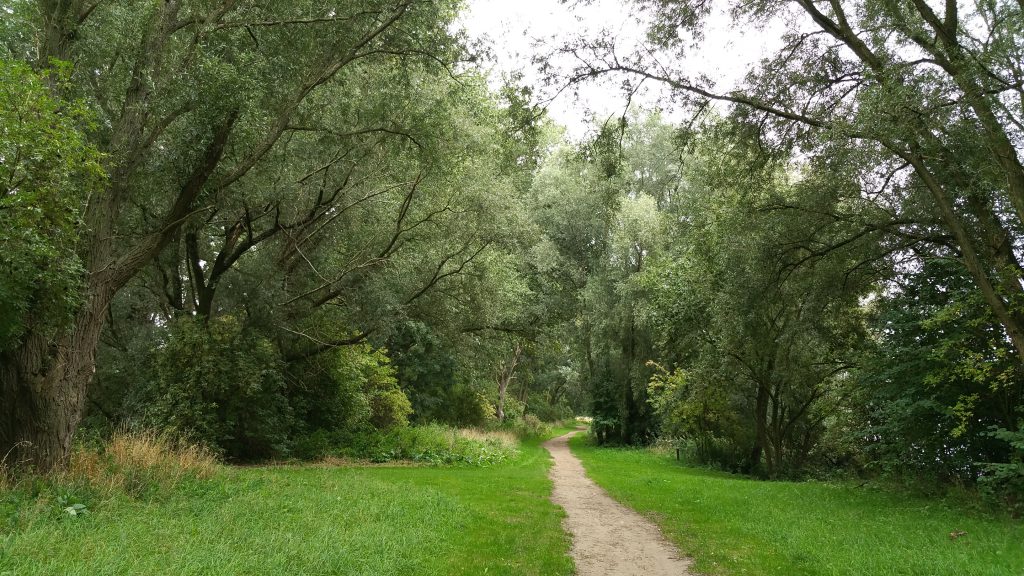 20150912_142510
