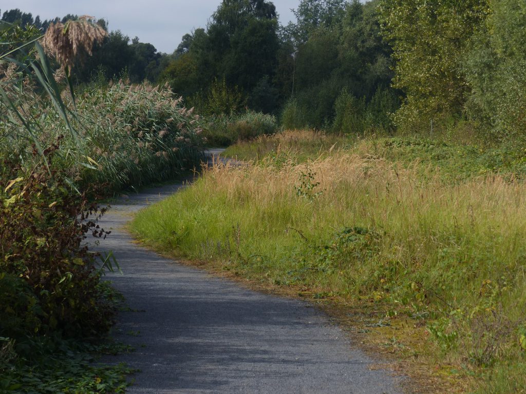 Aangenaam wandelen door Het Rot.