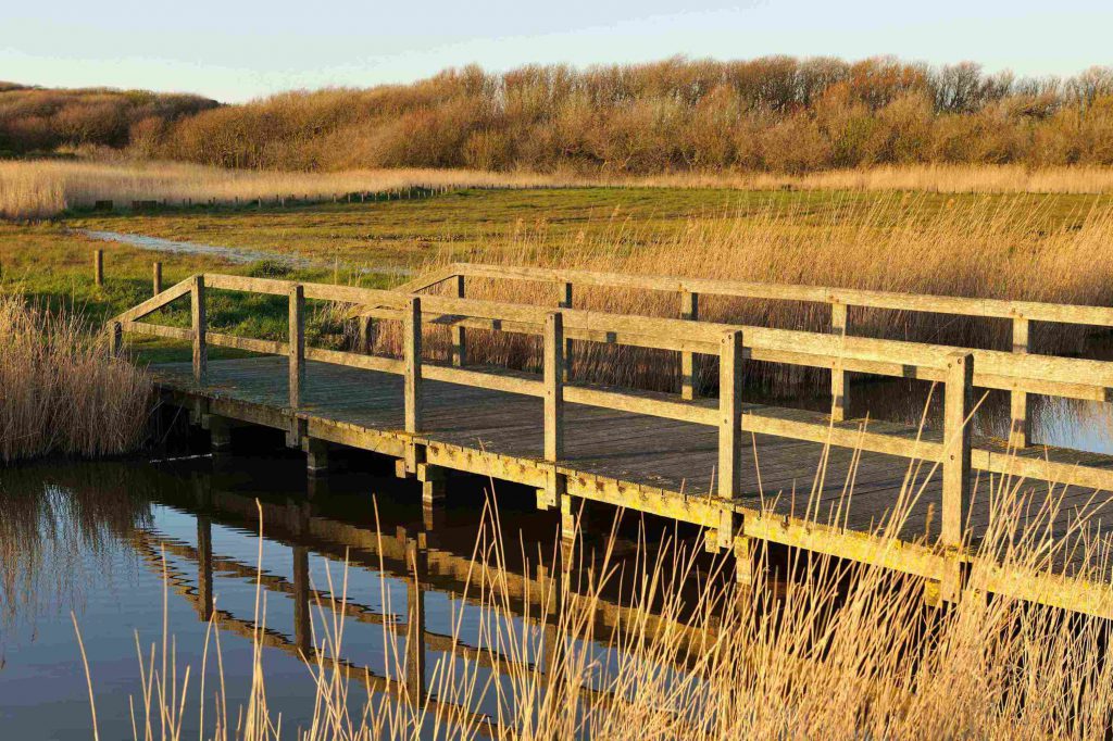 Door het natuurpark van het provinciedomein Raversyde (bron : Raversyde.be)