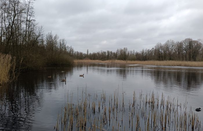 IMG_20240221_140254