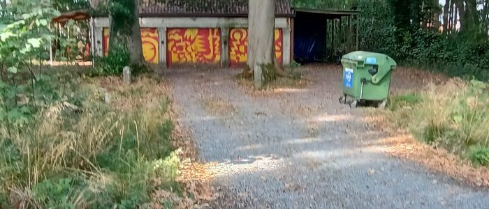 IMG_20251009_144939605_HDR