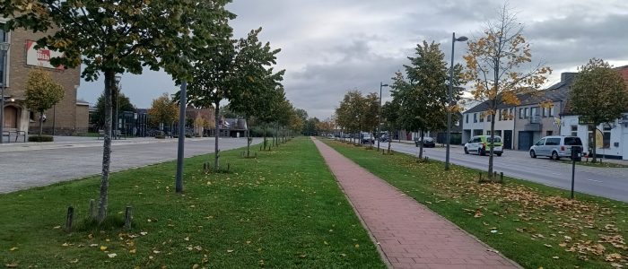 IMG_20251016_102403522_HDR