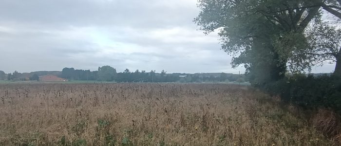 IMG_20251016_103224828