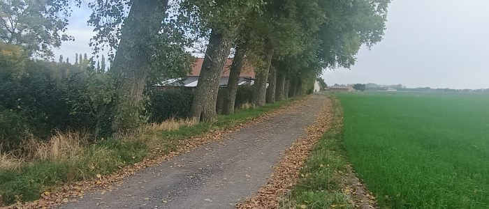 IMG_20251016_103228639