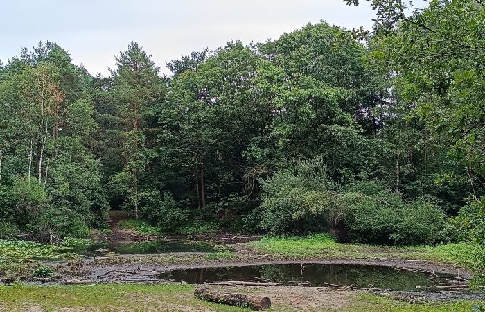 1753617775722 - kopie