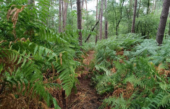 1753618142197 - kopie