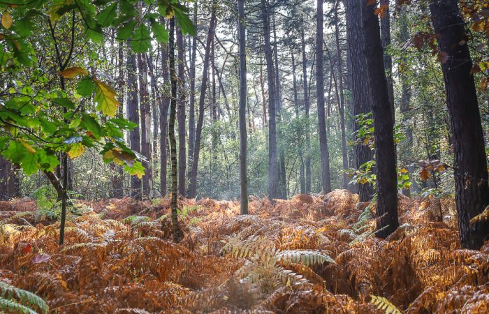 312169004_5980665655278535_5531326705276785718_n