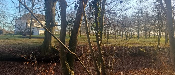 IMG_20251230_151712249_HDR