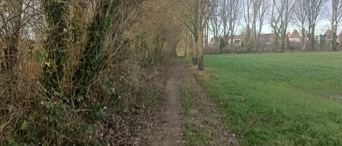 IMG_20251230_154505505_HDR